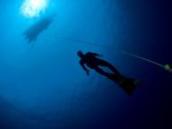 Blue Caledonia Freediving